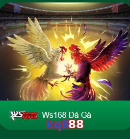 kq888