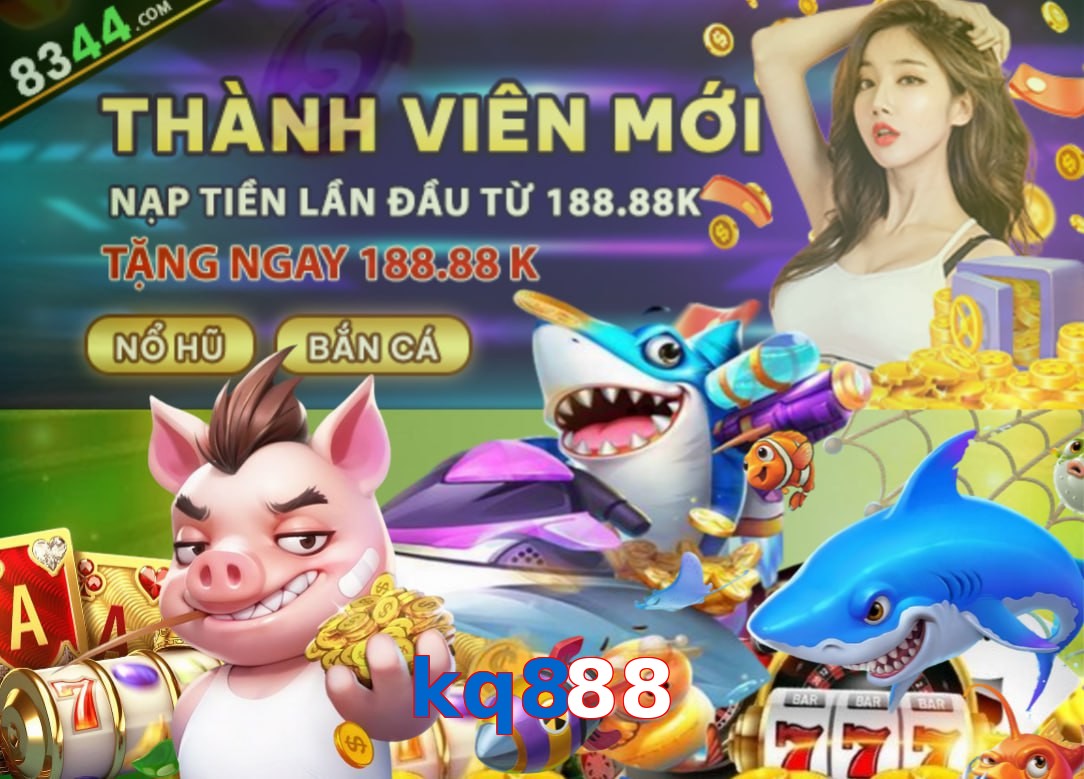kq888